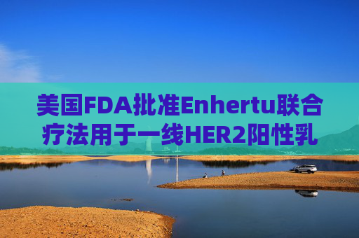 美国FDA批准Enhertu联合疗法用于一线HER2阳性乳腺癌治疗  第1张
