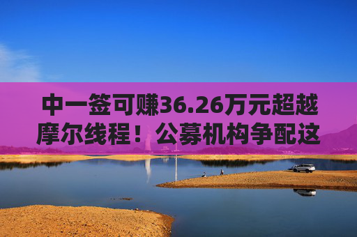 中一签可赚36.26万元超越摩尔线程！公募机构争配这只股票！