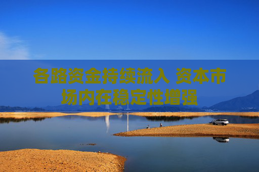 各路资金持续流入 资本市场内在稳定性增强  第1张