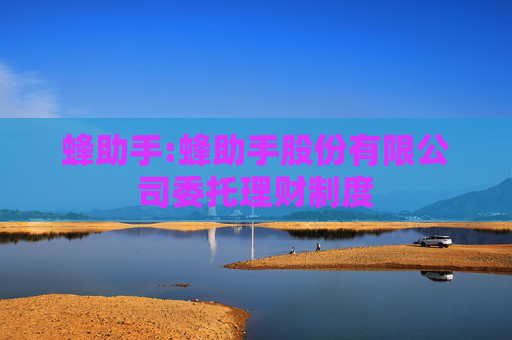蜂助手:蜂助手股份有限公司委托理财制度