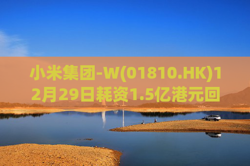 小米集团-W(01810.HK)12月29日耗资1.5亿港元回购390万股  第1张