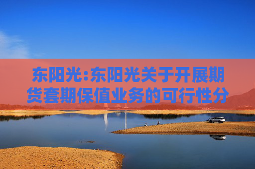 东阳光:东阳光关于开展期货套期保值业务的可行性分析报告  第1张