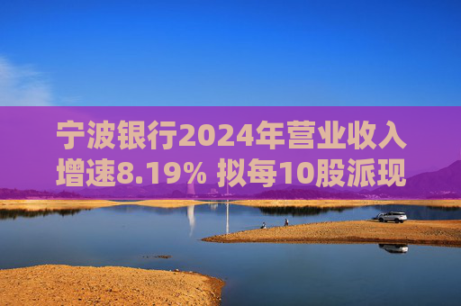 宁波银行2024年营业收入增速8.19% 拟每10股派现金红利9元  第1张