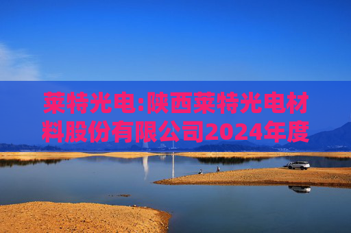 莱特光电:陕西莱特光电材料股份有限公司2024年度独立董事述职报告（卫婵）