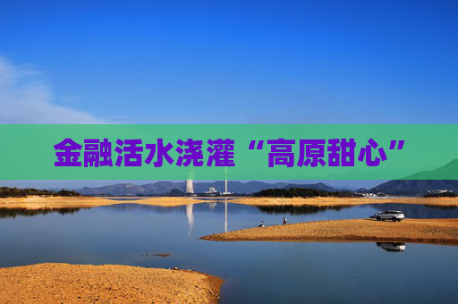 金融活水浇灌“高原甜心”