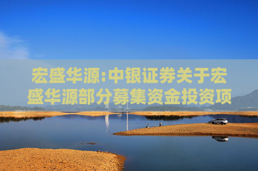 宏盛华源:中银证券关于宏盛华源部分募集资金投资项目重新论证并暂缓实施的核查意见