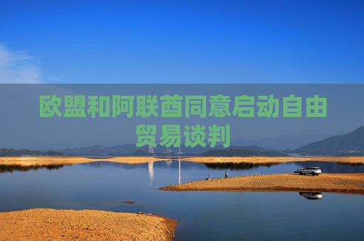 欧盟和阿联酋同意启动自由贸易谈判