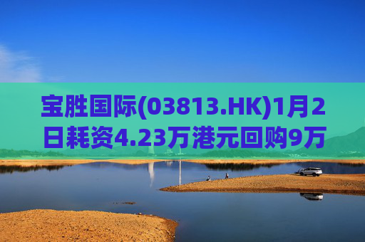 宝胜国际(03813.HK)1月2日耗资4.23万港元回购9万股