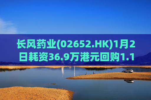 长风药业(02652.HK)1月2日耗资36.9万港元回购1.1万股