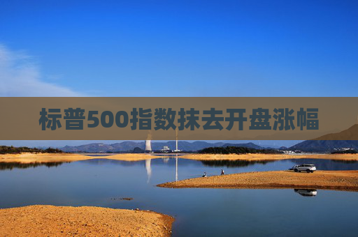 标普500指数抹去开盘涨幅
