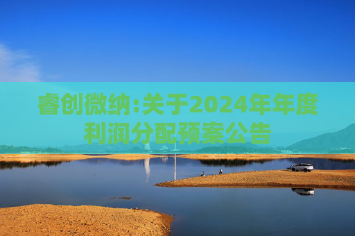 睿创微纳:关于2024年年度利润分配预案公告  第1张
