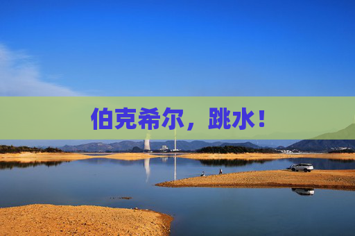 伯克希尔，跳水！