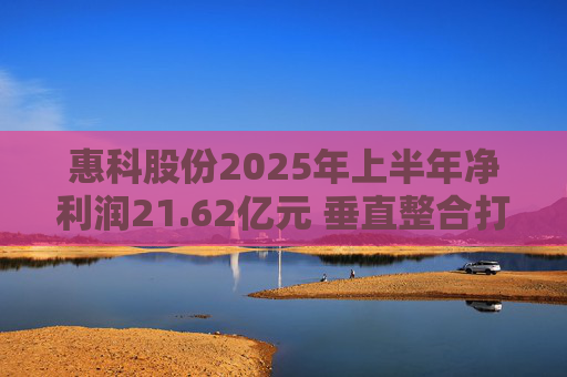 惠科股份2025年上半年净利润21.62亿元 垂直整合打造显示产业全链条优势