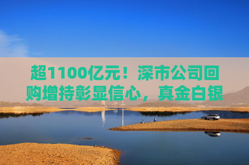 超1100亿元！深市公司回购增持彰显信心，真金白银护航市场稳定