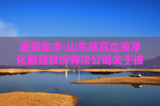 威高血净:山东威高血液净化制品股份有限公司关于披露重组报告书暨一般风险提示性公告  第1张