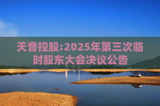 天音控股:2025年第三次临时股东大会决议公告