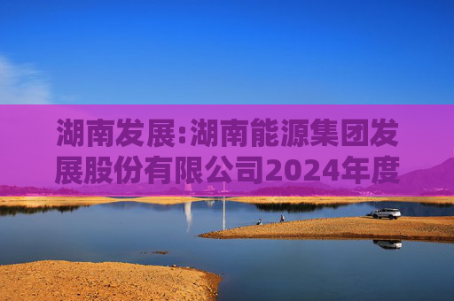 湖南发展:湖南能源集团发展股份有限公司2024年度、2025年1-11月备考审阅报告
