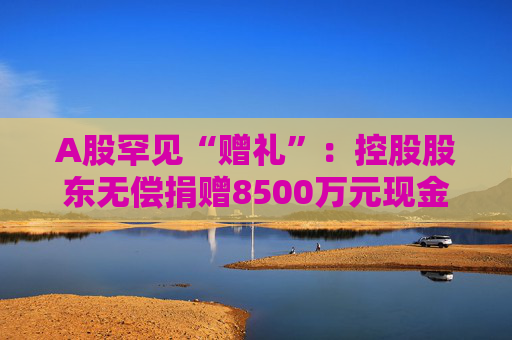 A股罕见“赠礼”：控股股东无偿捐赠8500万元现金，资不抵债的法尔胜获强力“输血”