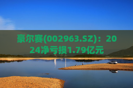豪尔赛(002963.SZ)：2024净亏损1.79亿元