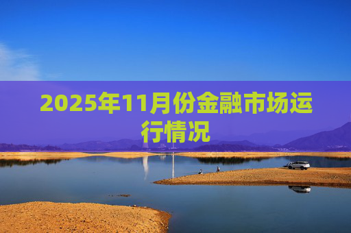2025年11月份金融市场运行情况