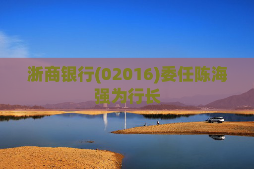 浙商银行(02016)委任陈海强为行长