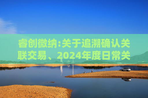 睿创微纳:关于追溯确认关联交易、2024年度日常关联交易实施情况与2025年度日常关联交易预计的公告  第1张