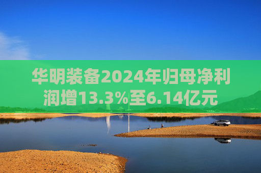 华明装备2024年归母净利润增13.3%至6.14亿元  第1张