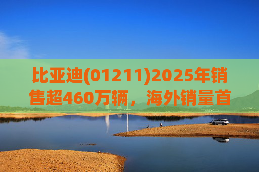 比亚迪(01211)2025年销售超460万辆，海外销量首次突破100万，蝉联三冠