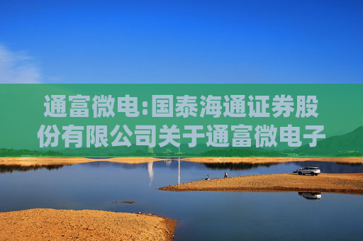 通富微电:国泰海通证券股份有限公司关于通富微电子股份有限公司2024年度募集资金存放与使用情况的专项核查意见