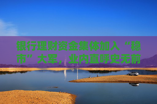 银行理财资金集体加入“稳市”大军，业内直呼史无前例，有机构动用自营资金增持旗下产品