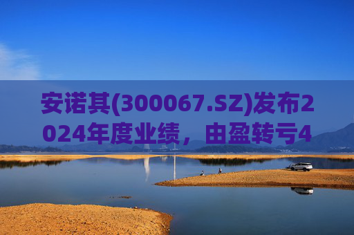 安诺其(300067.SZ)发布2024年度业绩，由盈转亏474.6万元