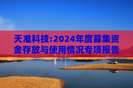 天准科技:2024年度募集资金存放与使用情况专项报告
