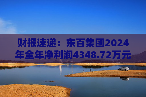 财报速递：东百集团2024年全年净利润4348.72万元  第1张