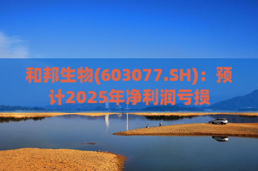 和邦生物(603077.SH)：预计2025年净利润亏损