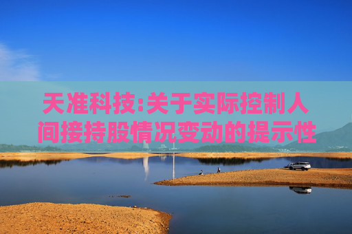 天准科技:关于实际控制人间接持股情况变动的提示性公告