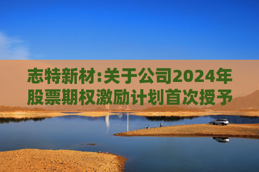志特新材:关于公司2024年股票期权激励计划首次授予部分第一个行权期第二次集中行权结果暨股份上市的公告