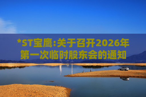 *ST宝鹰:关于召开2026年第一次临时股东会的通知