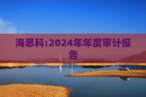 海思科:2024年年度审计报告  第1张