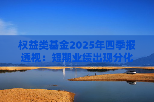 权益类基金2025年四季报透视：短期业绩出现分化