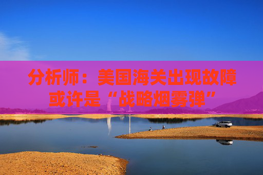 分析师：美国海关出现故障或许是“战略烟雾弹”
