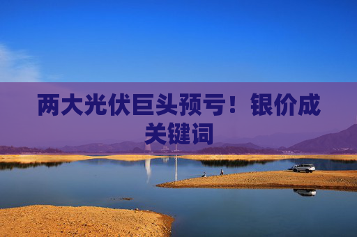 两大光伏巨头预亏！银价成关键词