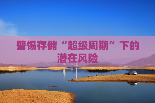 警惕存储“超级周期”下的潜在风险