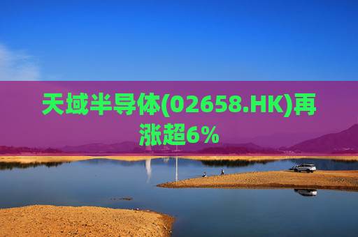 天域半导体(02658.HK)再涨超6%