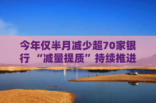 今年仅半月减少超70家银行 “减量提质”持续推进