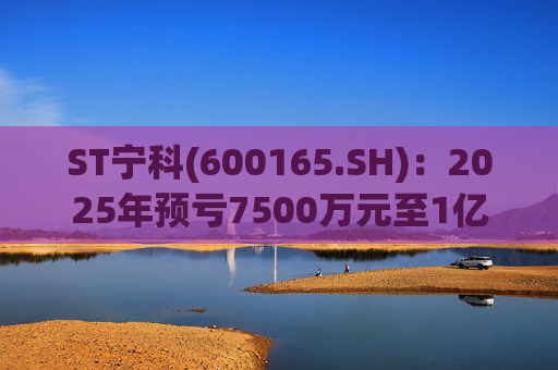 ST宁科(600165.SH)：2025年预亏7500万元至1亿元  第1张