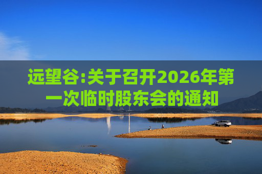 远望谷:关于召开2026年第一次临时股东会的通知