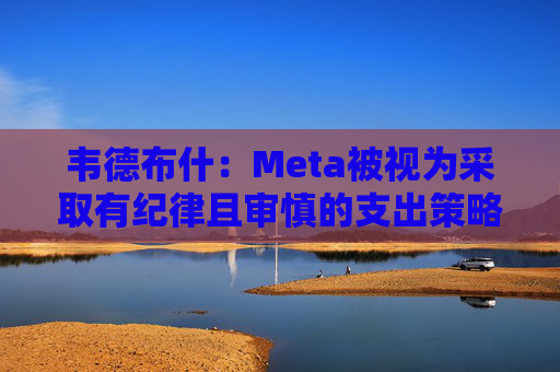 韦德布什：Meta被视为采取有纪律且审慎的支出策略  第1张