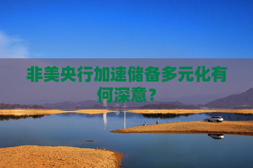 非美央行加速储备多元化有何深意?