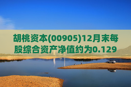 胡桃资本(00905)12月末每股综合资产净值约为0.129港元