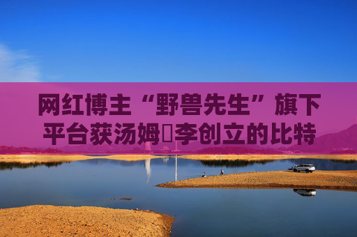 网红博主“野兽先生”旗下平台获汤姆・李创立的比特矿公司2亿美元投资